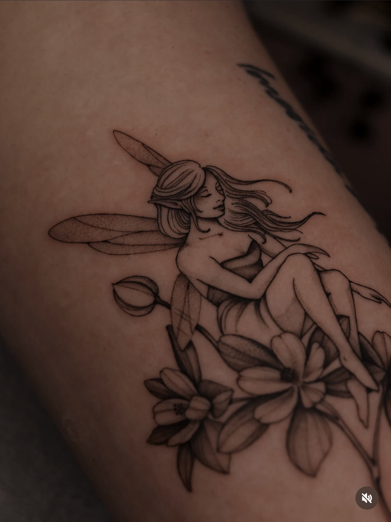 FAIRY