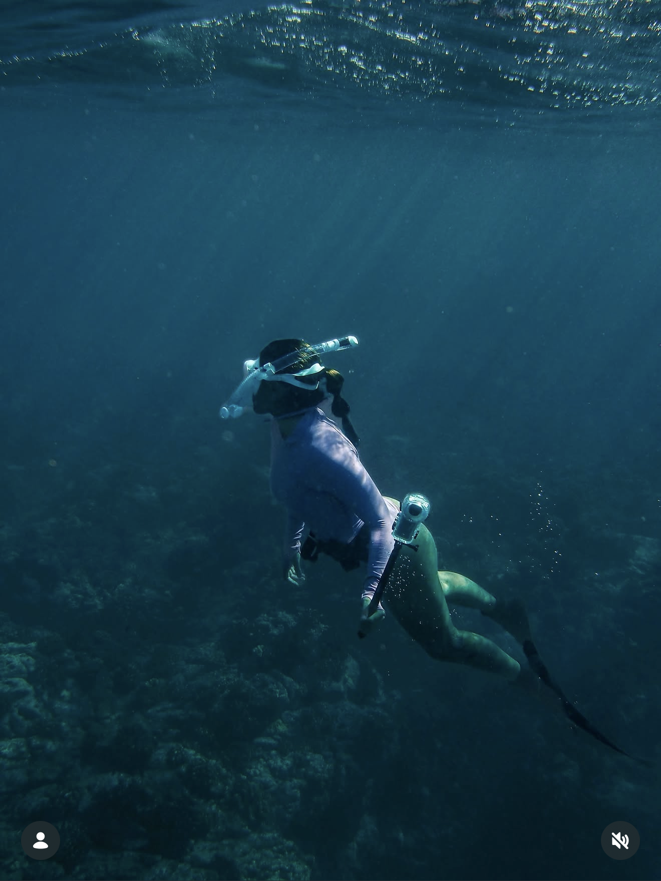 Vida Marinha